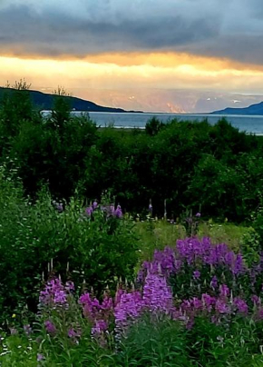 Austertanakrystallen by Pure Lifestyle Arctic